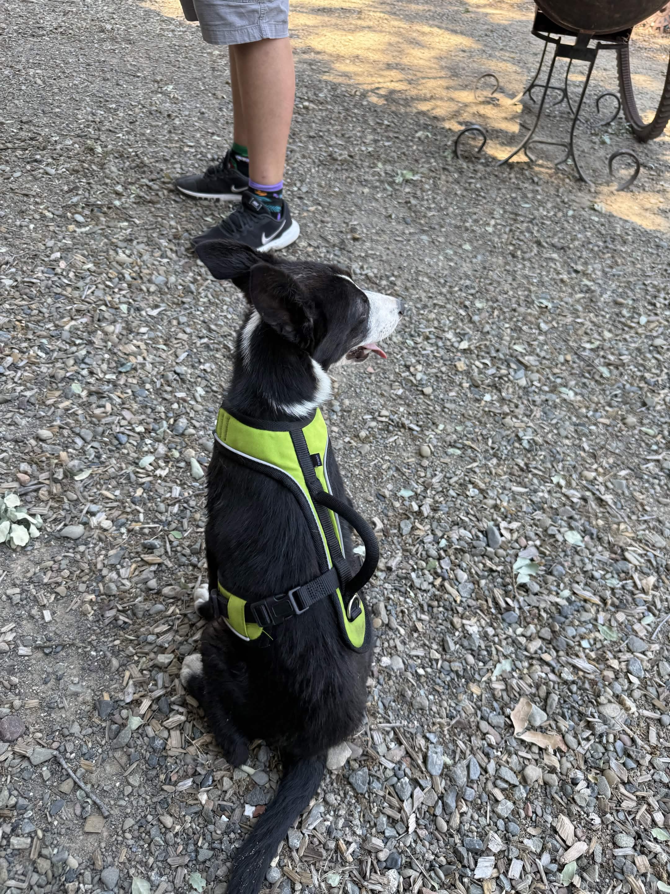 Tux